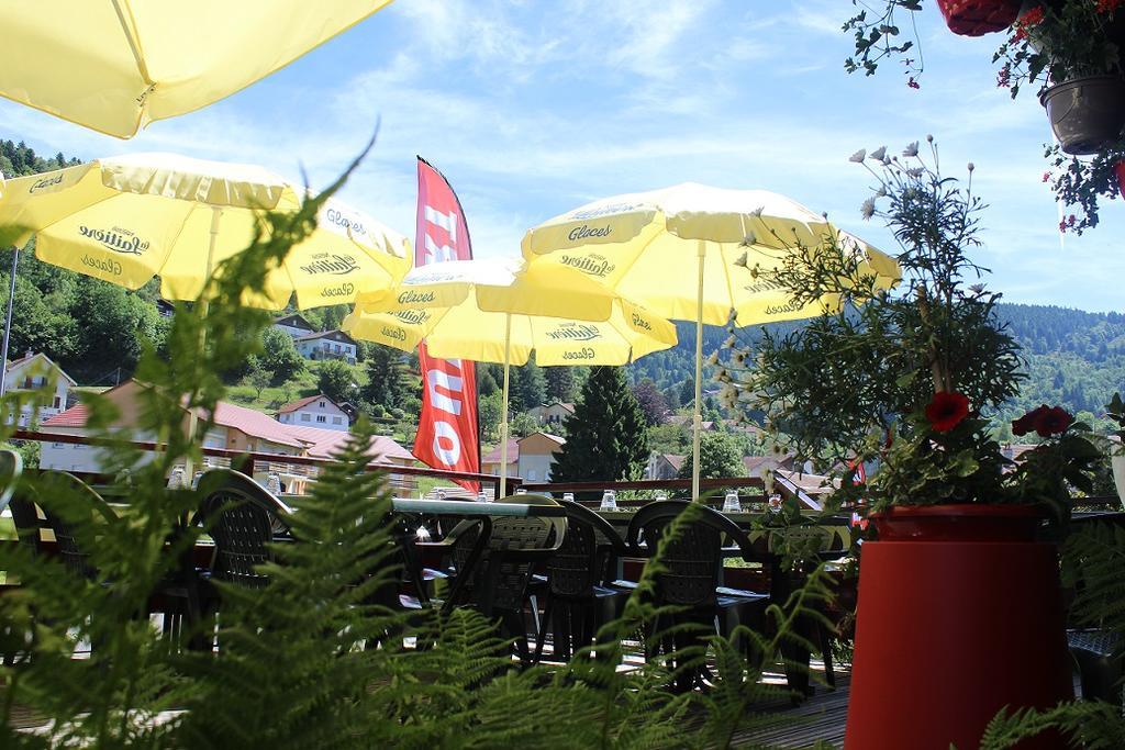 Hotel Les Bruyeres ヴォントロン エクステリア 写真